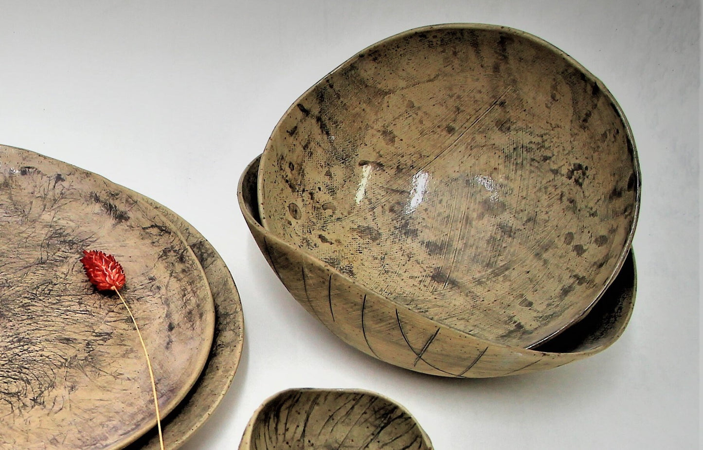 Large Pasta Bowls