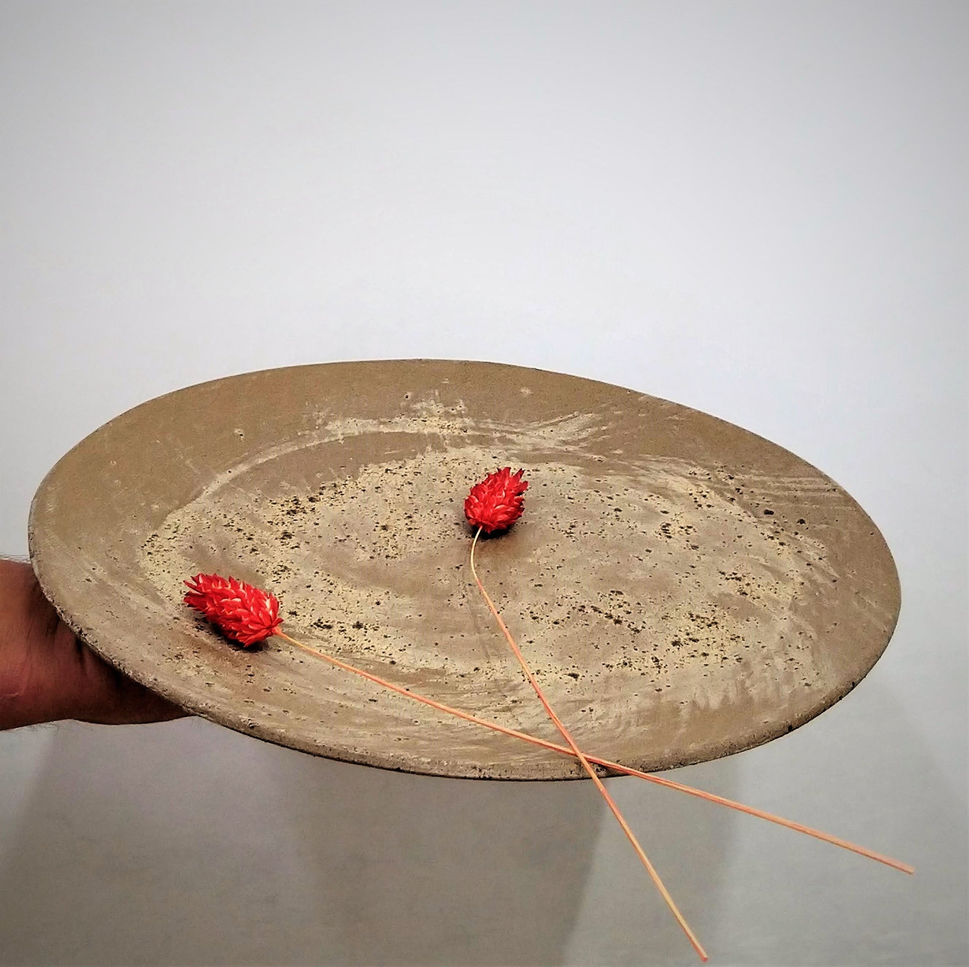 Fine Dining Plates