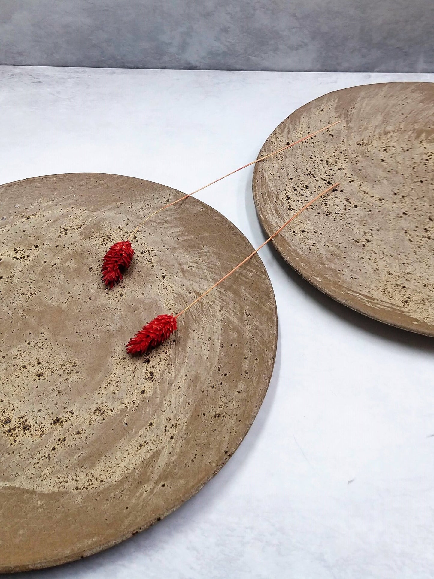 Ceramic Fine Dining Plates