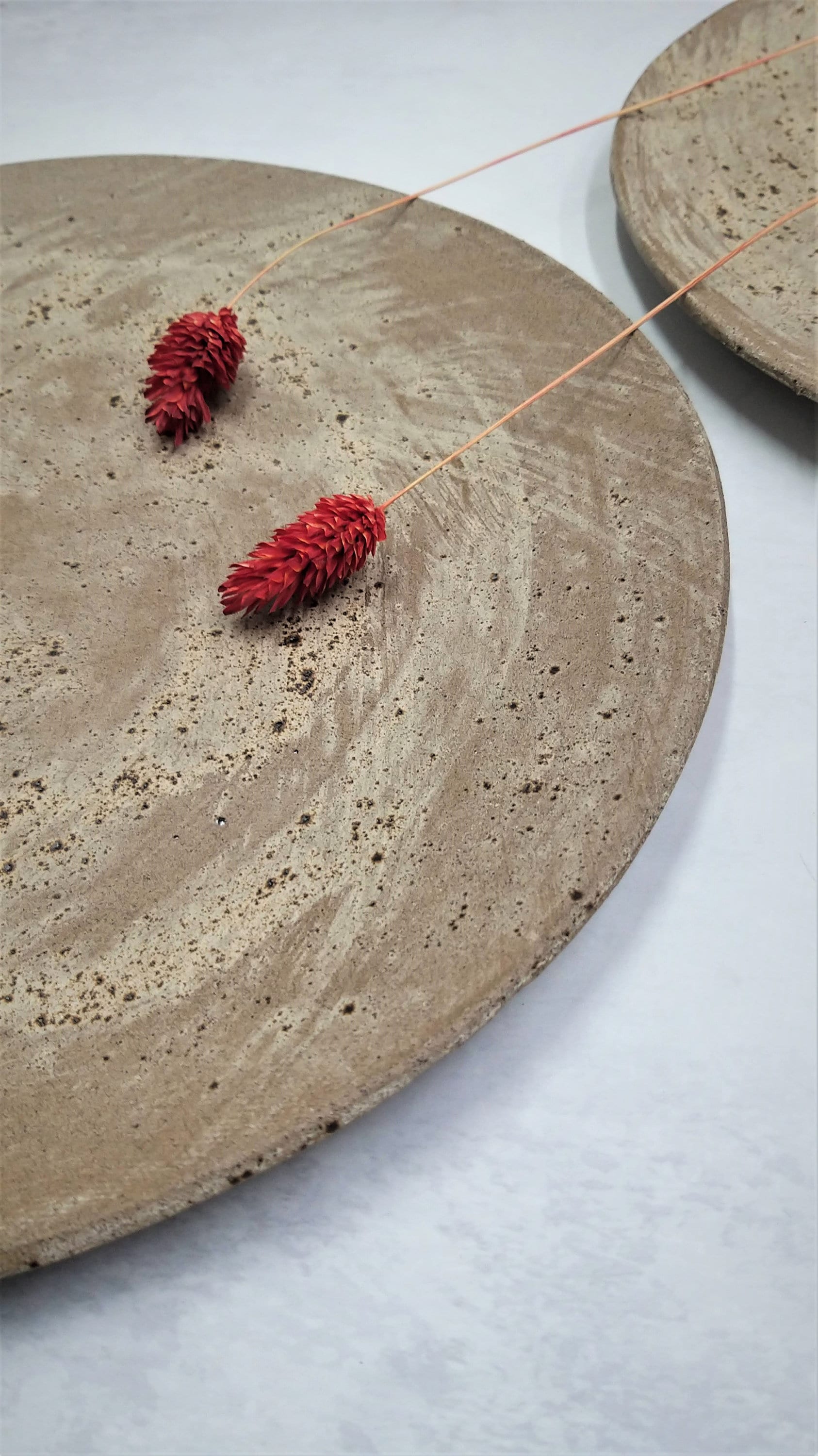 Ceramic Dining Plates