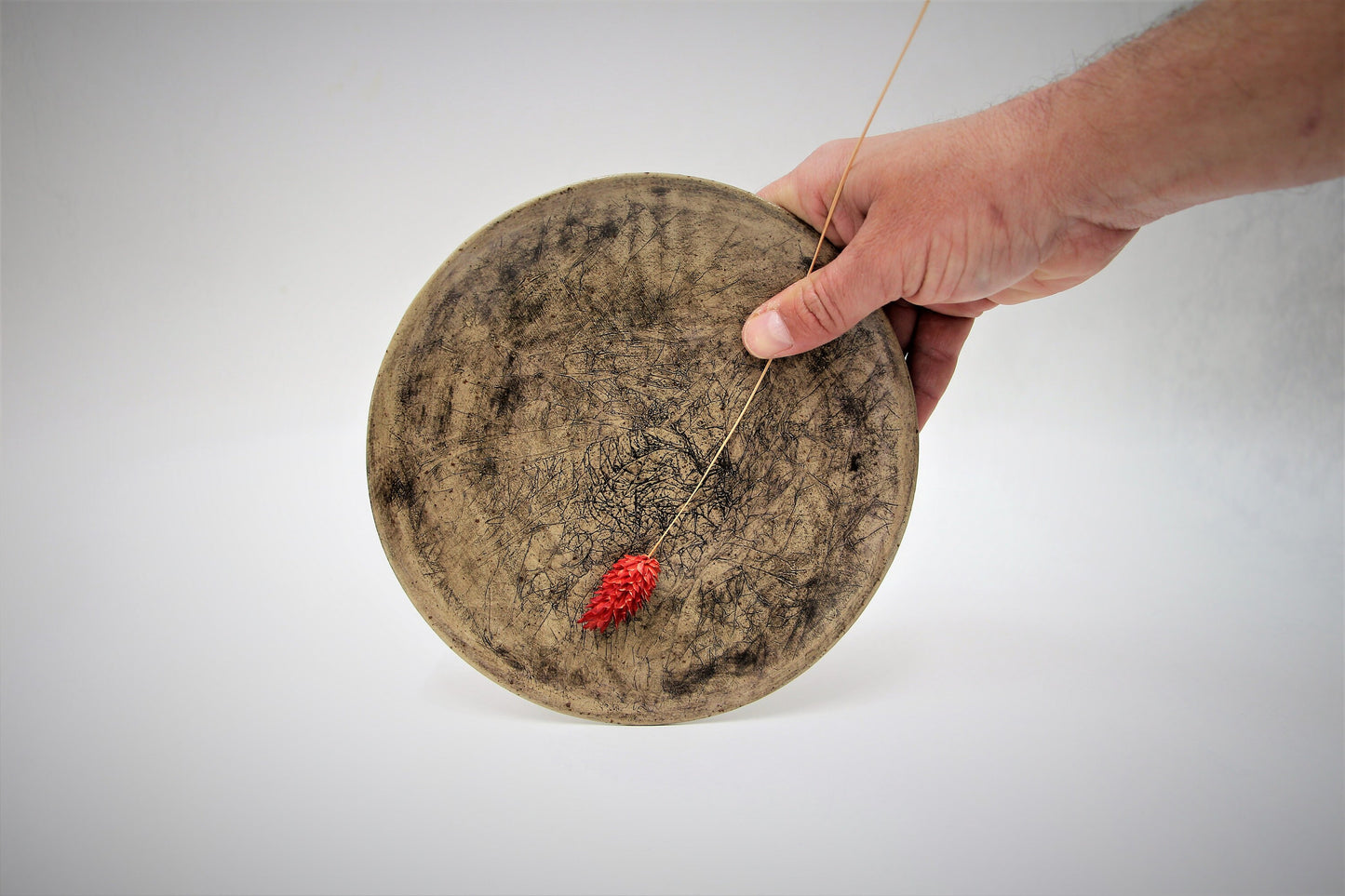 Modern Earthenware Plate