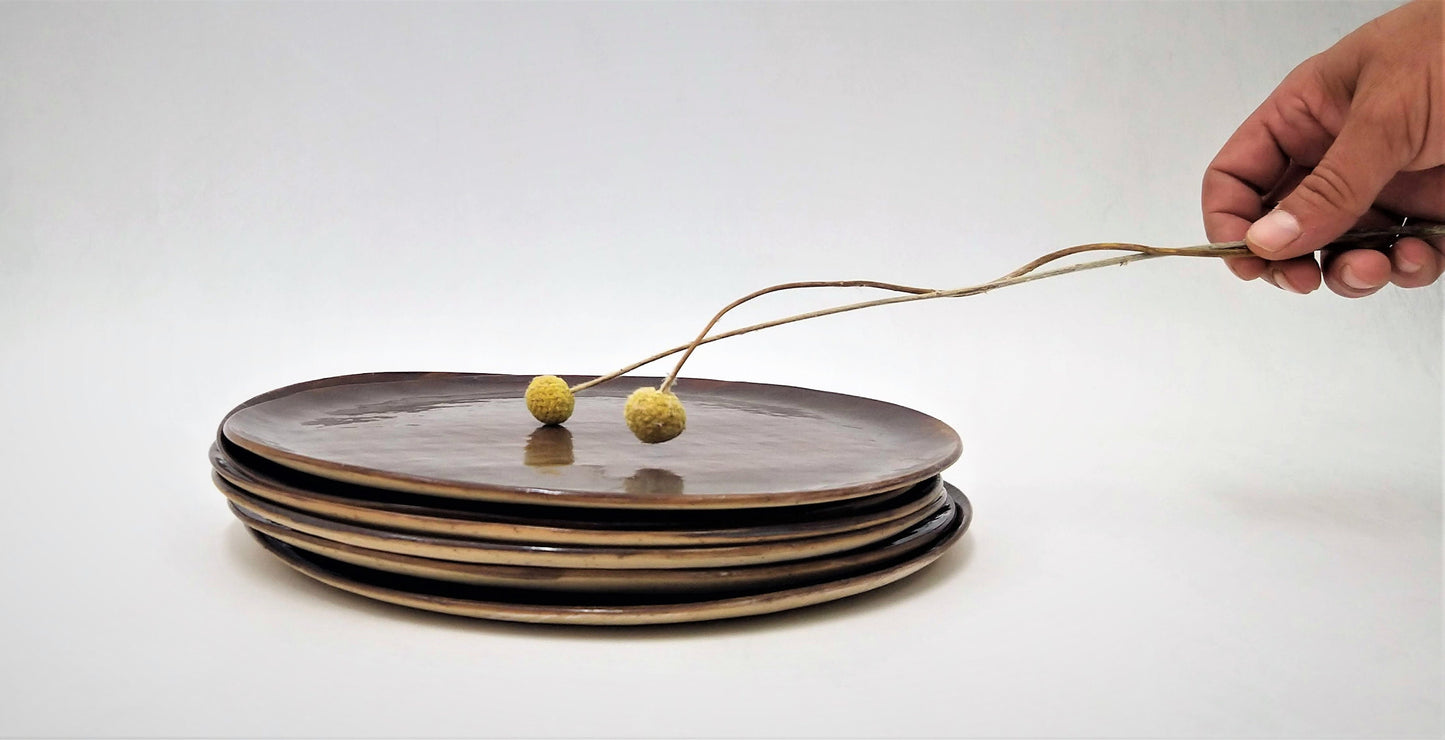 Rustic Dinner Plates