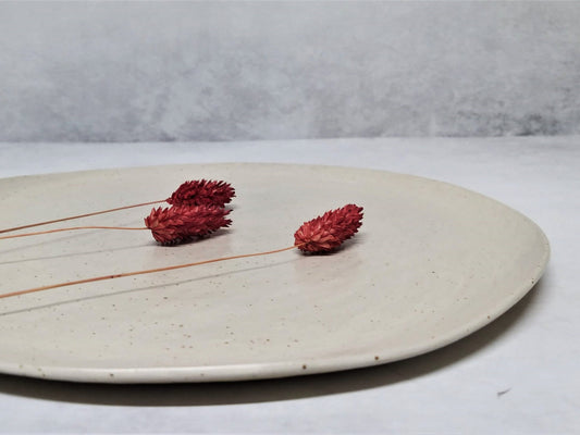 White Ceramic Dinner Plate