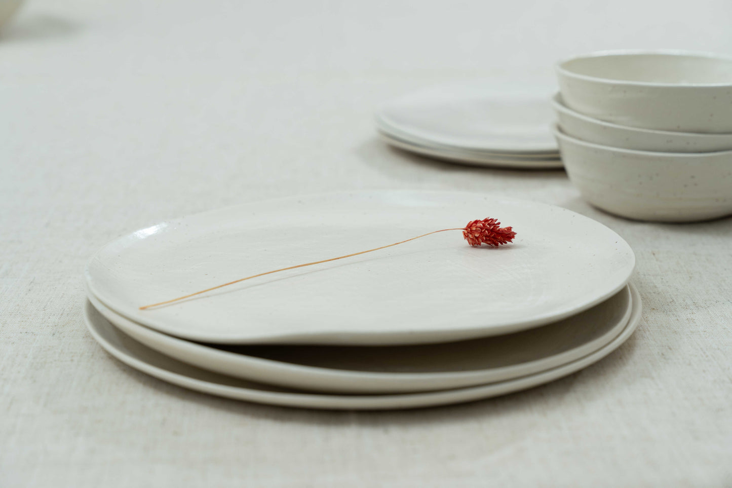 Handmade white ceramic dinner plate with black speckles