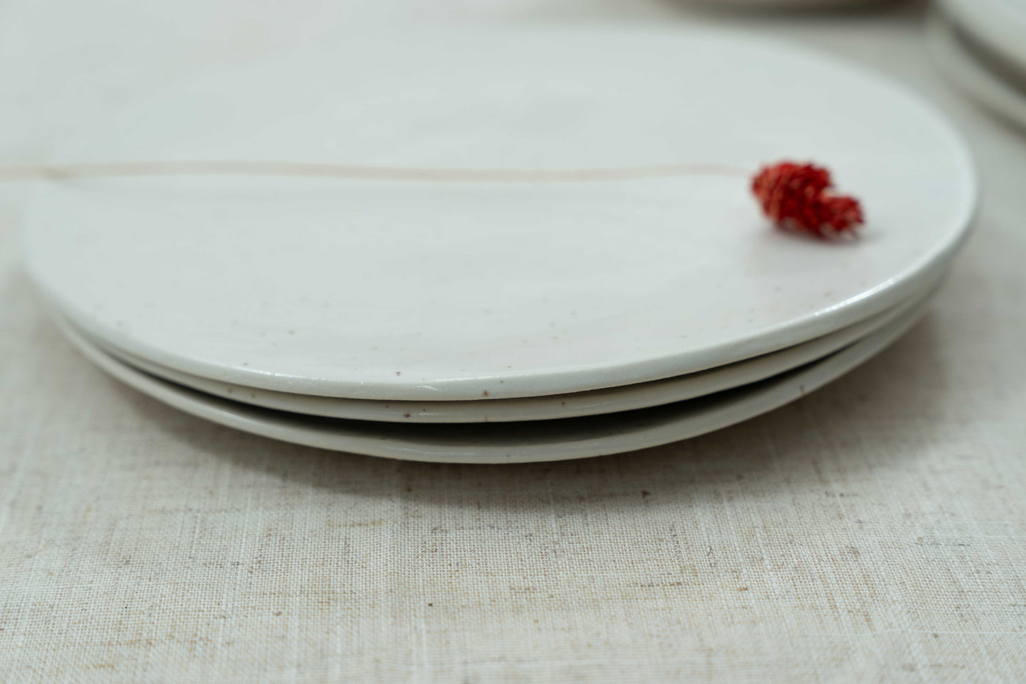 Hand-built dinner plate, oven and microwave safe