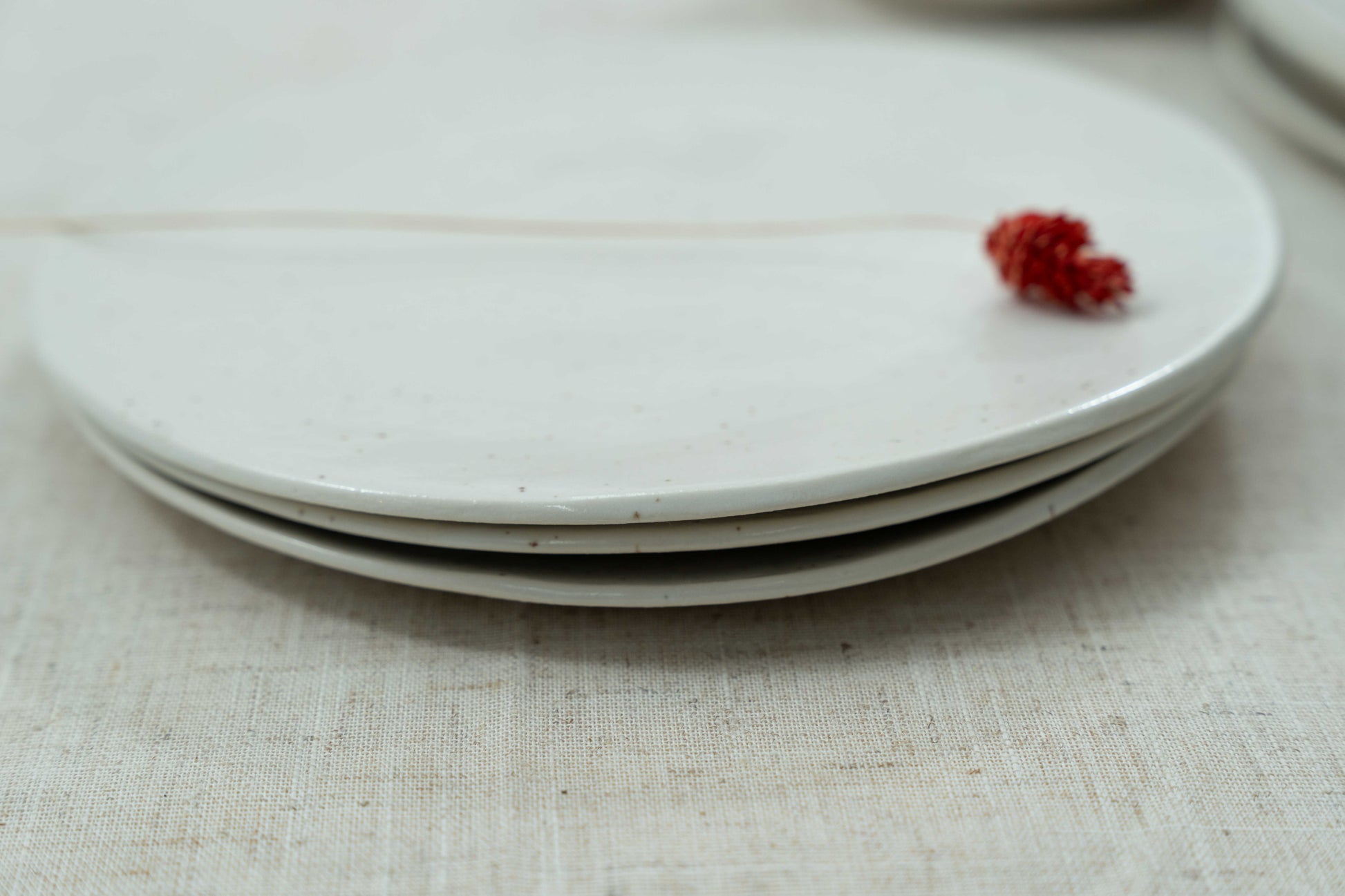 Hand-built dinner plate, oven and microwave safe