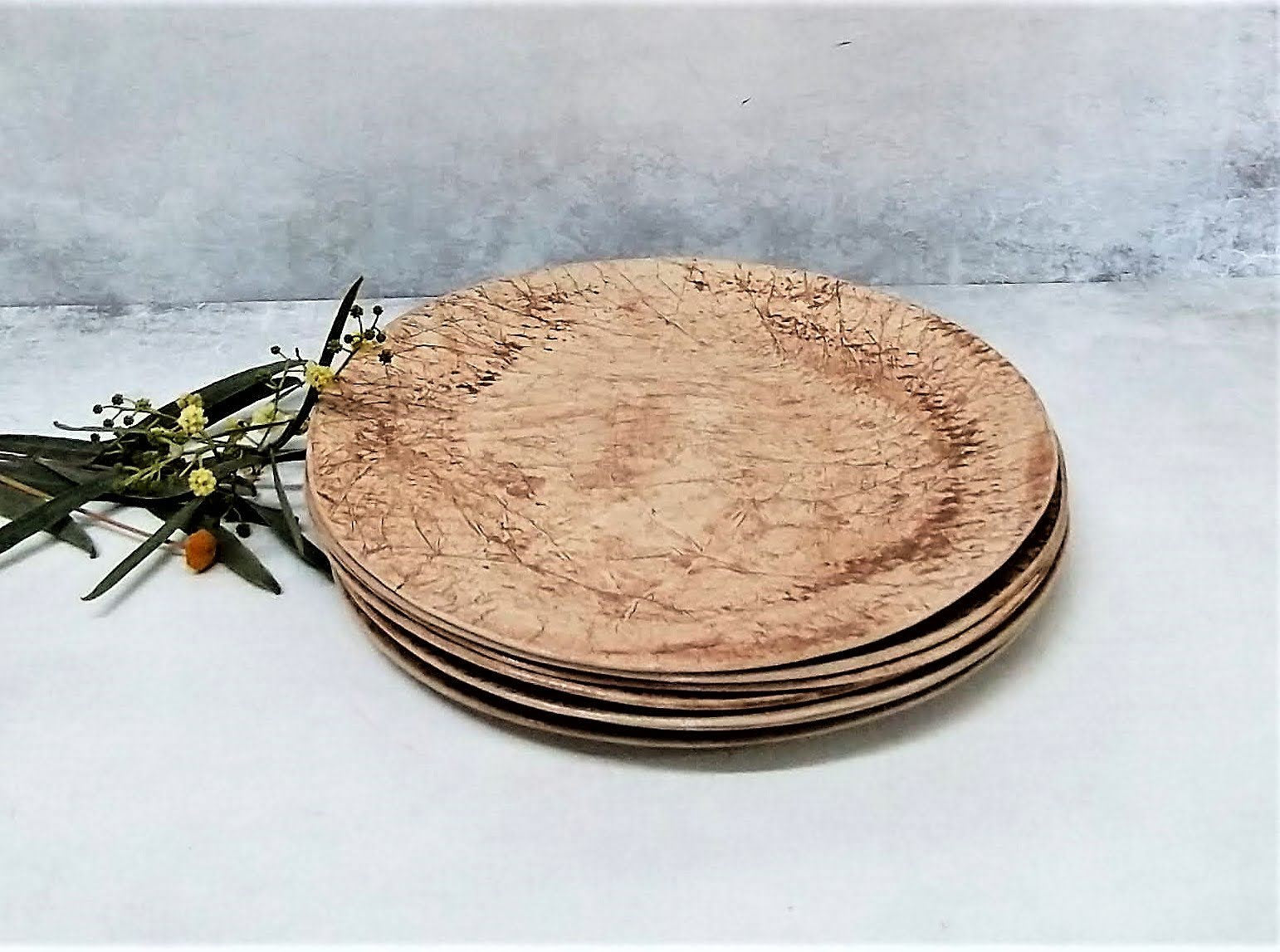 Unique Earthenware Plates Set