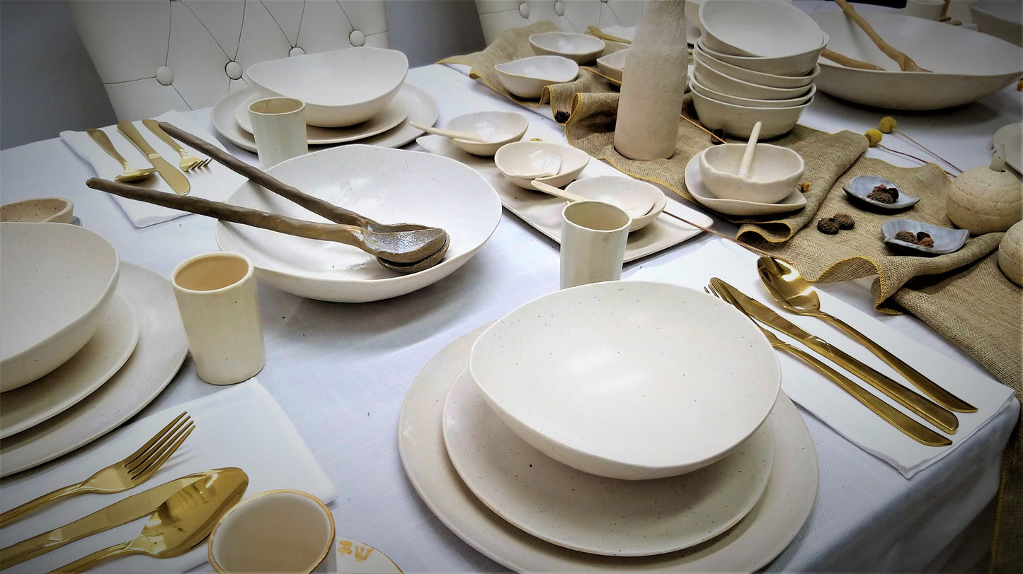 Dinner Plates Set