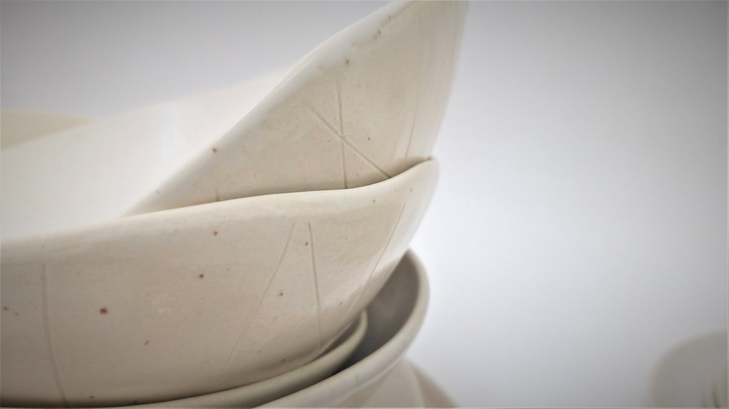 Stoneware Bowls Set