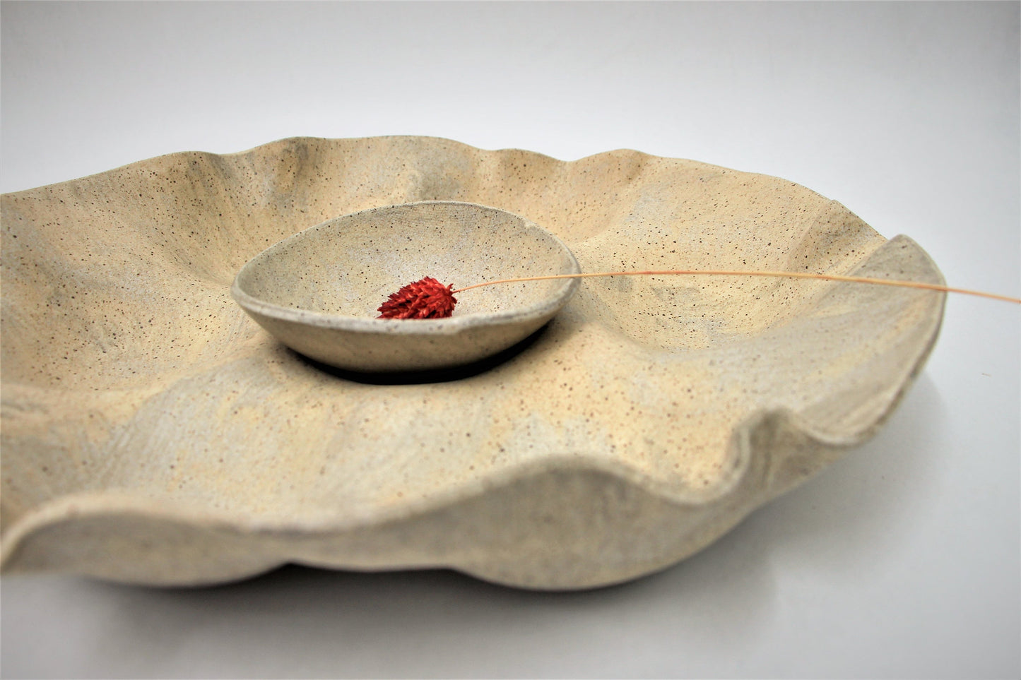 Earth Tone Plate And Bowl Set