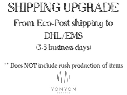 Shipping Upgrade: from Eco-post (10-45 business days) to EMS/DHL shipping (3-5 business days) NOT including production time!