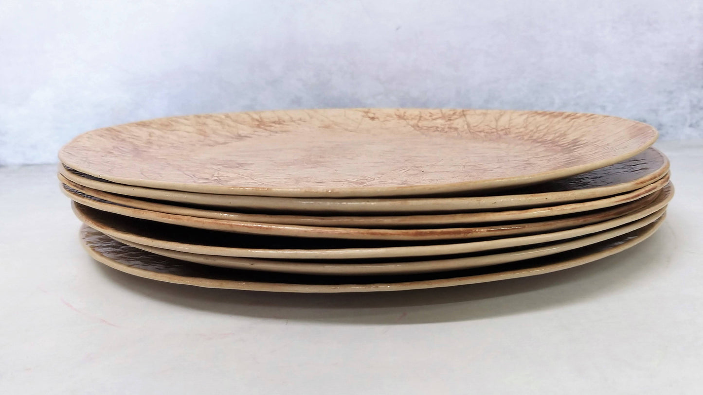 Ceramic Dinner Plates Set
